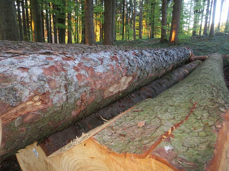 Wärmebedarfserhebung in Wernetshausen