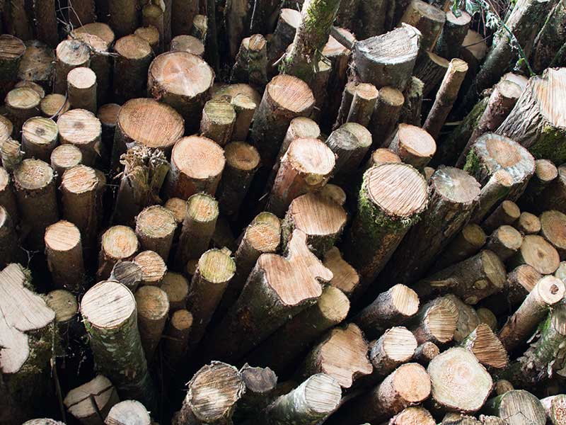 Wärmebedarfserhebung in Wernetshausen
